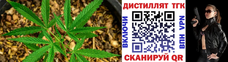 где найти   Чита  ТГК вейп 