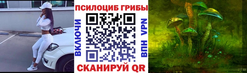 наркотики Чита Галлюциногенные грибы GOLDEN TEACHER
