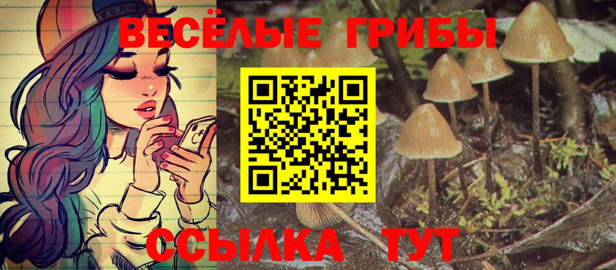 Галлюциногенные грибы мицелий Чита