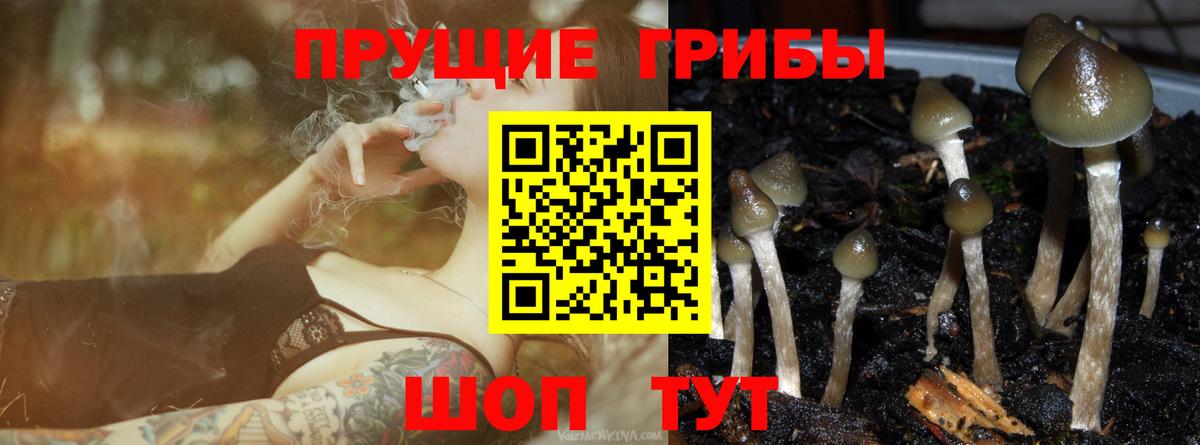 Псилоцибиновые грибы мицелий  Вход с VPN  Галлюциногенные грибы MAGIC MUSHROOMS  Чита 