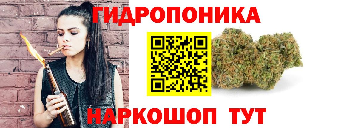 Бошки Шишки конопля Чита